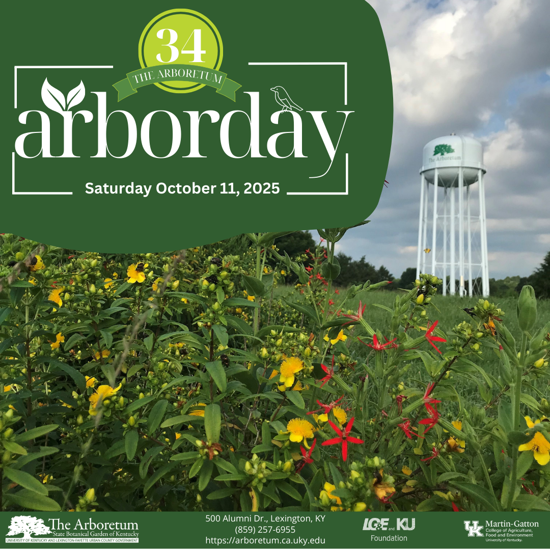 flyer for the 2025 Arbor Day Celebration at the UK Arboretum
