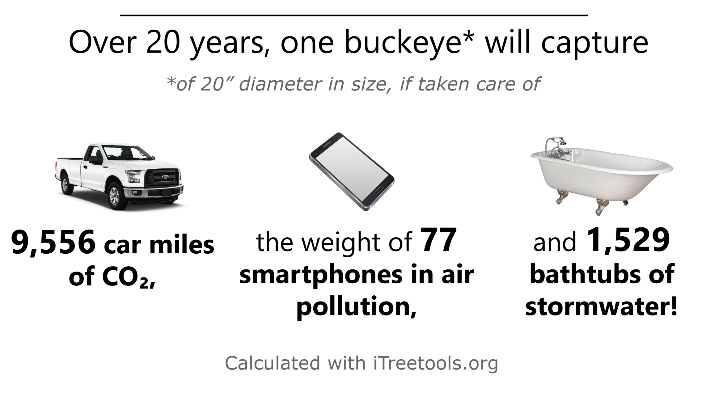 Buckeye ecological benefits