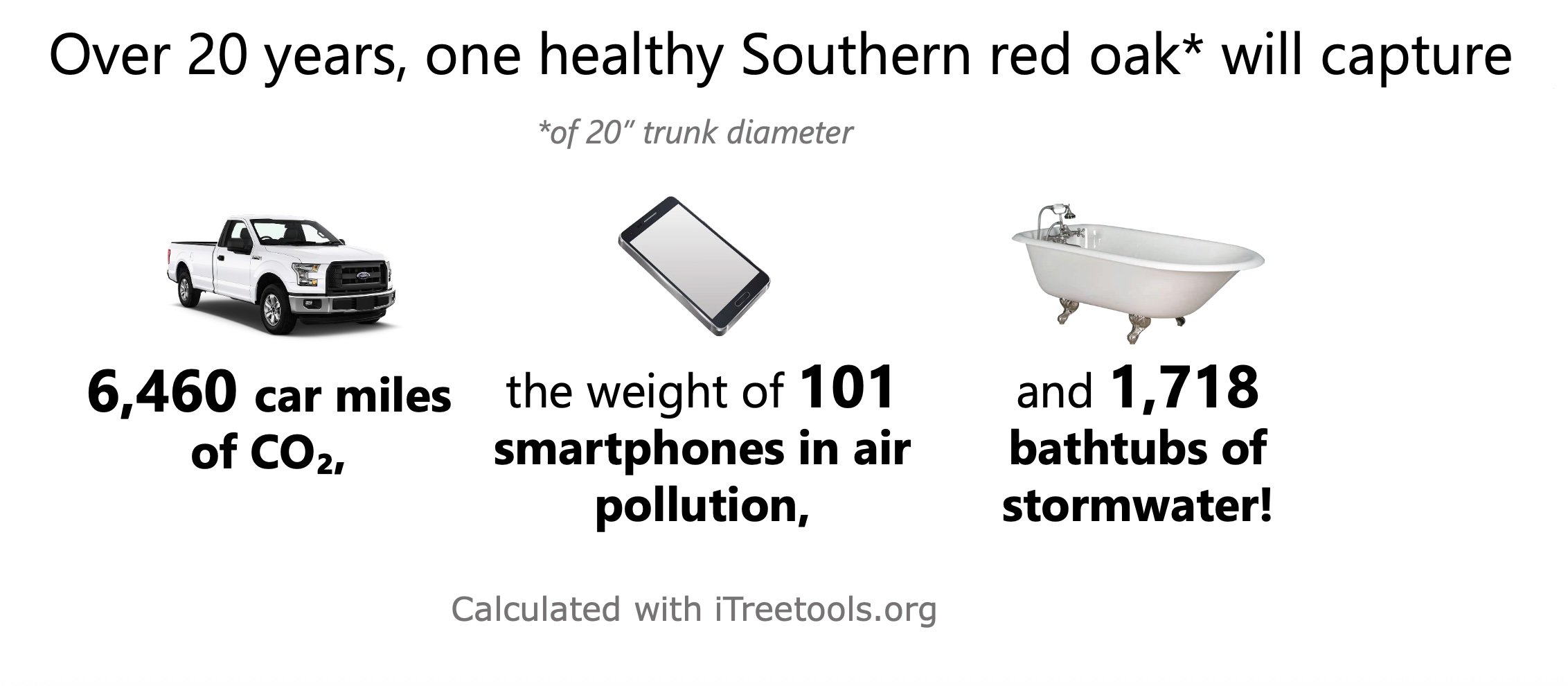 SouthernRedOakbenefits