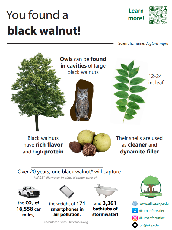 Black walnut sign