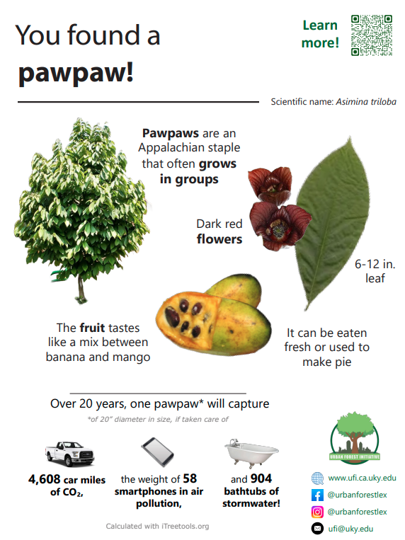 Pawpaw sign